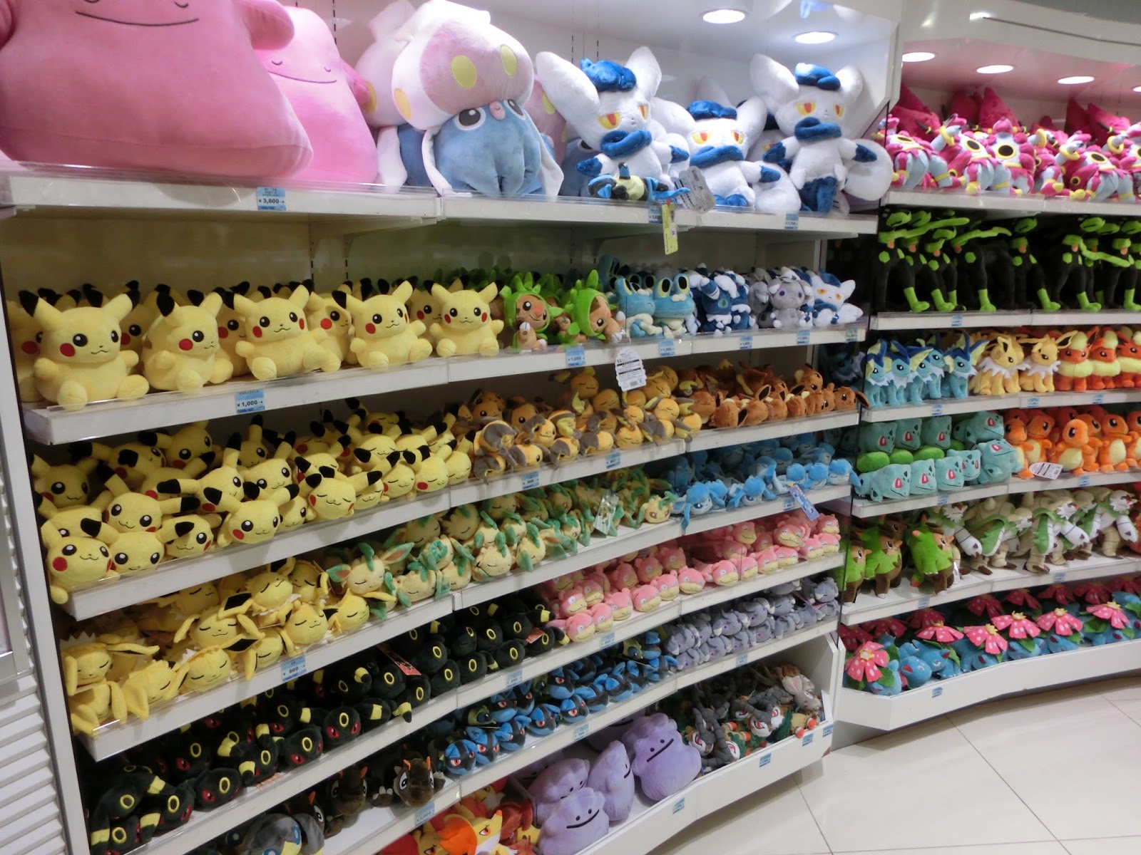 Exploring Kyoto's Pokémon Center! What Can You Expect? - KKday Blog